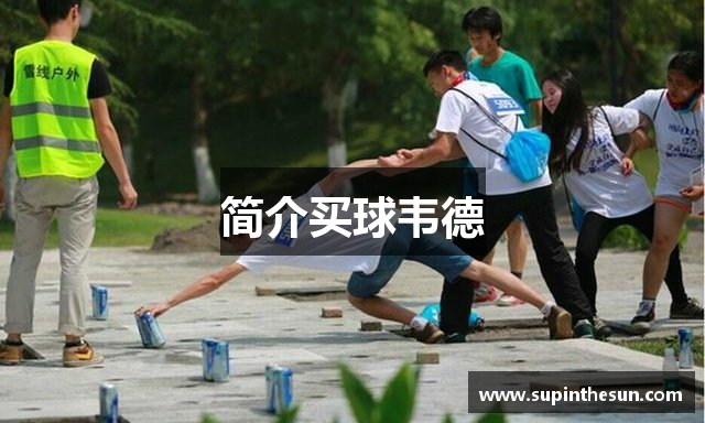 简介买球韦德